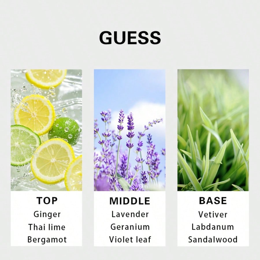Guess Forever น้ำหอมสำหรับผู้ช - Perfume Fragrance Notes บทวิจารณ์และราคา